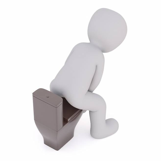 화장실에서 스마트폰을 사용하다 보면 배변 시간이 의도치 않게 길어져 항문 조직의 압력을 높이고, 결국 치질에 걸리기 쉽다는 연구 결과가 나왔다. 픽사베이 제공