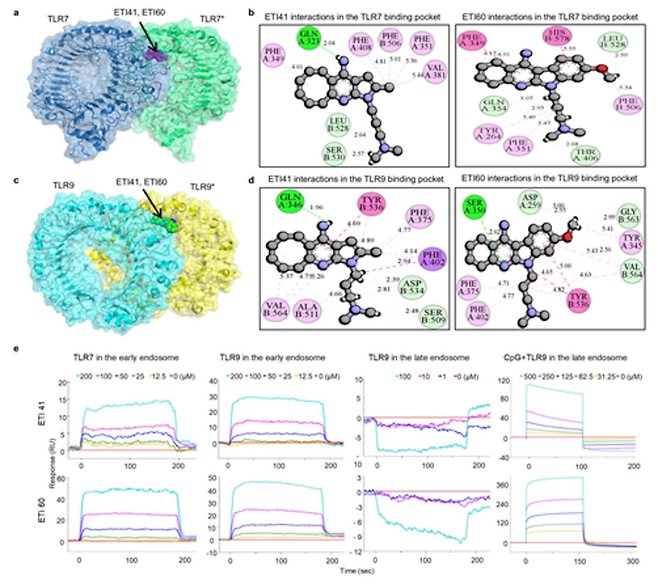 ▲ 연구 이미지