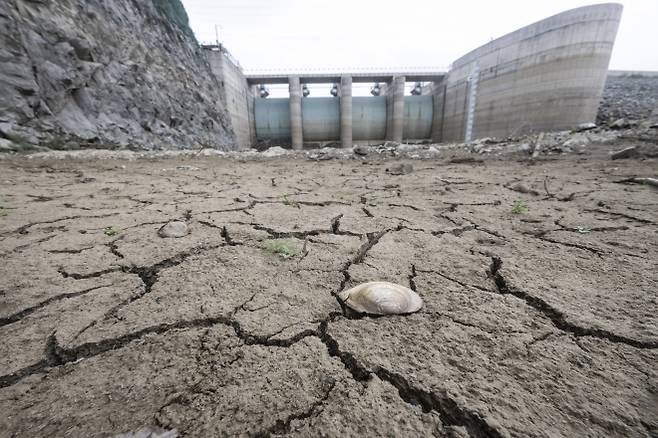 계속되는 가뭄에 갈라진 오봉저수지 바닥 - 강릉지역에 극심한 가뭄 계속되는 4일 강원 강릉 오봉저수지의 바닥이 갈라져 있다. 2025.09.04. 뉴시스