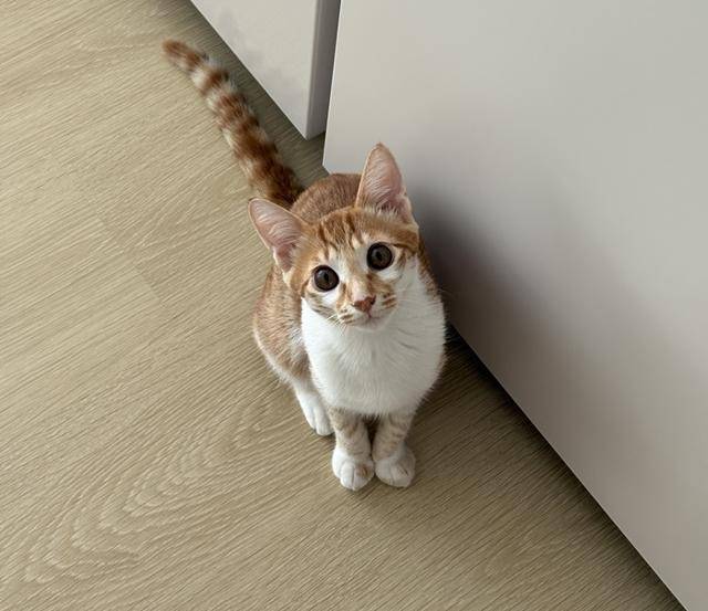 호기심 대폭발222