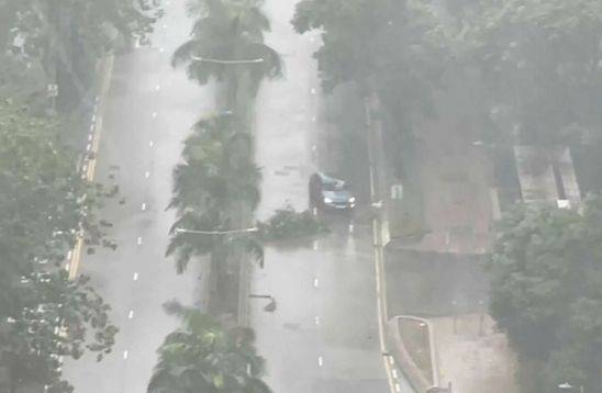 8일(현지시간) 홍콩에서 열대성 폭풍 ‘타파’가 몰아치는 가운데 한 차량이 쓰러진 나뭇가지를 피해 이동하고 있다. AP=연합뉴스