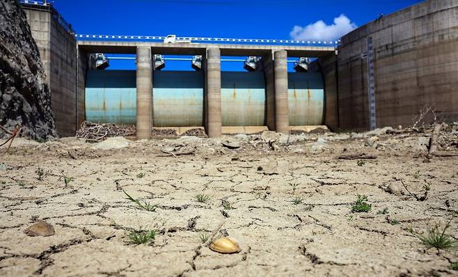10일 오후 강원 강릉시 오봉저수지가 바짝 말라붙어 바닥을 드러내고 있다. 뉴스1