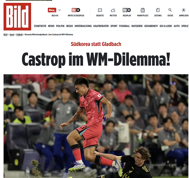 독일 빌트 공식 홈페이지 캡처