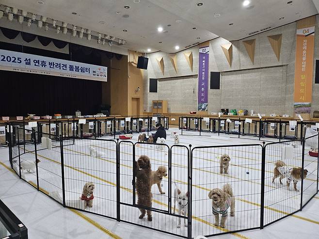 반려견 돌봄쉼터