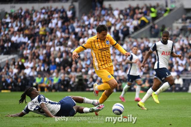 비수마/게티이미지코리아