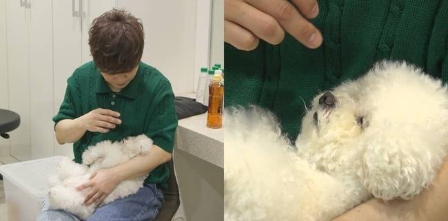 MBC ‘전지적 참견 시점’ 제공