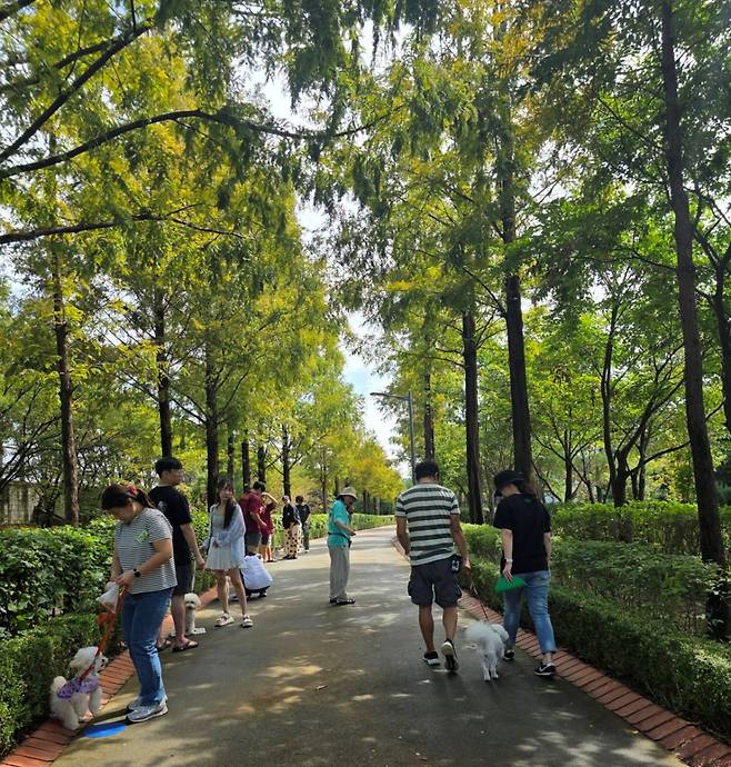 반려동물 행동분석 전문기업 브리딩은 지난 14일 서울 강서구 황금내 근린공원 반려견 쉼터에서 '반려견 행동 교정' 프로그램이을 진행했다.