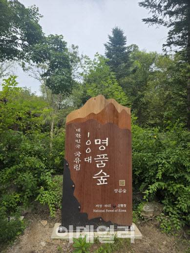 광릉숲 입구에 설치된 대한민국 100대 명품숲 입간판. (사진=박진환 기자)