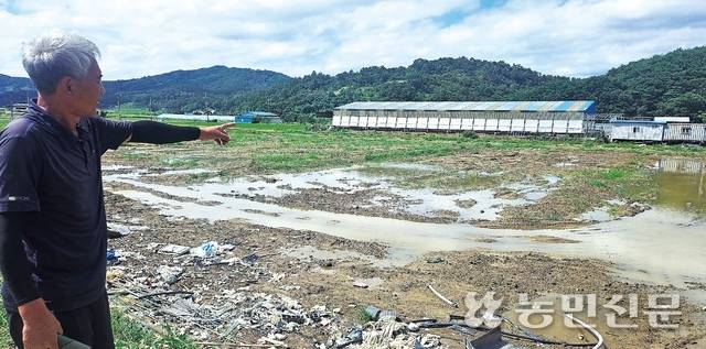 경남 산청 딸기농가 유진형씨가 자신의 비닐하우스가 있던 곳을 가리키고 있다. 여전히 물이 빠지지 않고 고여 있고 하우스 잔해가 남아 있다.