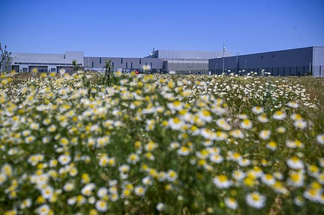 BMW그룹 헝가리 데브레첸 공장에 있는 꽃밭. 지속가능성을 엿볼 수 있다. 사진=BMW그룹