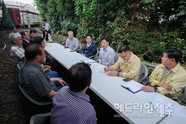 19일 레드향 열과 피해를 입은 농가들과 간담회를 갖고 있는 오영훈 지사.