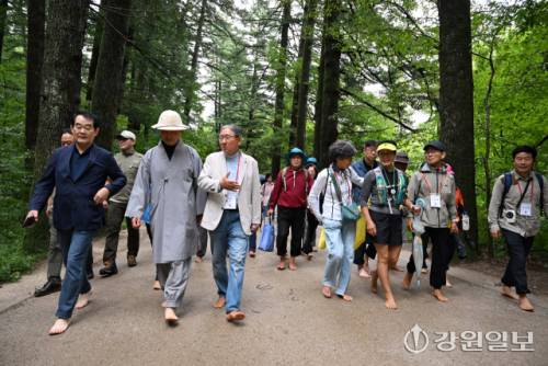 20일 평창 월정사 전나무 숲길에서 열린 2025 오대산 전나무 숲길 맨발 힐링 트래킹에서 퇴우 정념 주지스님, 박진오 강원일보 사장, 박동창 맨발걷기국민운동본부 회장과 참가자들이 맨발로 걸으며 자연과 하나되는 치유의 시간을 갖고 있다. 신세희기자