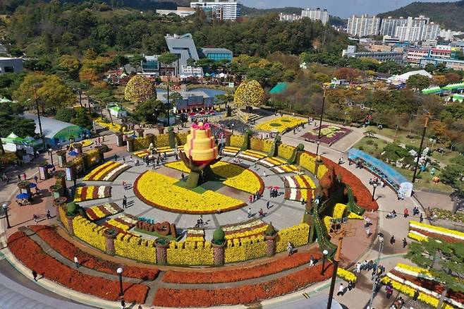 대한민국 국향대전. /사진= 함평군