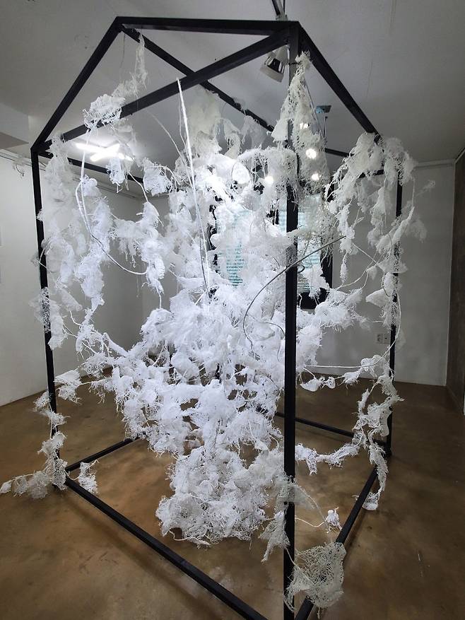 프레임 안에 흩어지듯 채워진 흰 껍질 설치작품.