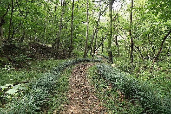 화암사에 오는 사람들은 대부분 오솔길을 따라서간다. 오솔길이 사람들의 마음을 이끌기 때문이다.