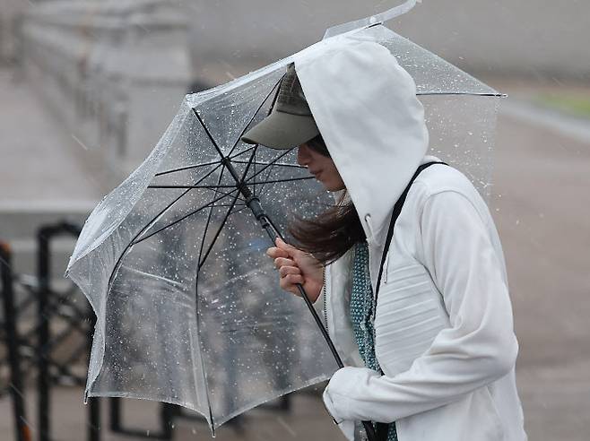 비가 내린 16일 서울 종로구 광화문광장에서 한 시민이 우산을 붙잡고 있다. (사진=연합뉴스)
