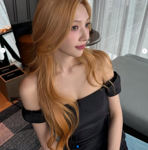 레드벨벳 조이./조이 소셜미디어