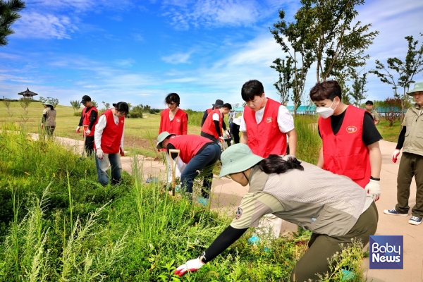 하림 임직원들이 23일 새만금환경생태단지에서 생태계 교란 식물인 양미역취의 특징과 제거 방법에 대한 설명을 들으며 제거 작업을 하고 있다. ⓒ하림