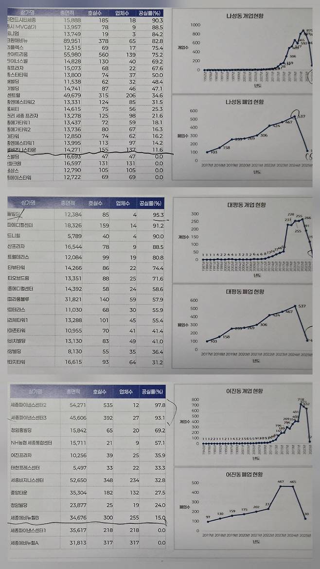 나성동-대평동-어진동의 주요 상업 건축물 공실 상황과 개·폐업 현황 추이. 공실 상황은 상상 그 이상이다. 사진=시의회 연구모임 제공.
