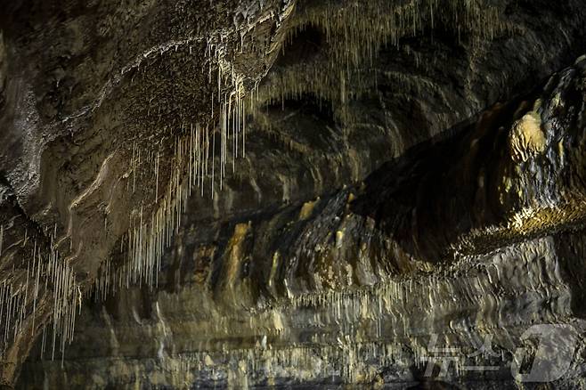 25일 제주시 구좌읍 월정리에 있는 천연기념물 용천동굴이 국가유산 방문의 해를 맞아 언론에 특별공개되고 있다. 2025.9.25/뉴스1 ⓒ News1 오미란 기자