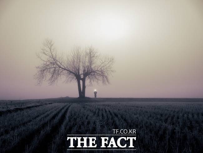 '얼음 나무'/김남국