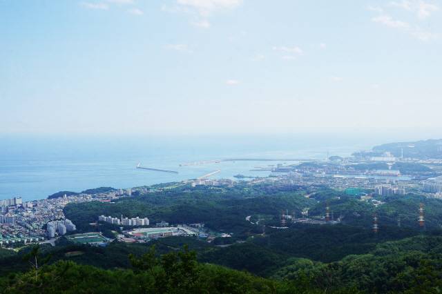 ▲ 초록봉은 동해시 천곡동에 솟은 해발 531m의 산이다. 동해 전경을 한눈에 바라볼 수 있는 조망 명소로 많은 사랑을 받고 있다