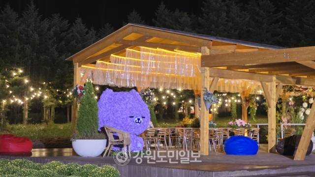 ▲ ‘꽃마을 인제’ 2025 인제 가을꽃 축제가 27일 개막했다. 올해로 7회째를 맞은 가을꽃 축제는 오는 10월 19일까지 23일간 인제군 북면 용대관광지 일원에서 열린다. 인제 꽃축제의 특별함을 선사하기 위해 차별화된 공간 구성과 함께 체험 프로그램이 강화됐으며 △행복하길 △사랑하길 △소통하길 △힐링하길 등 네 가지 테마로 꾸며졌다. 이동명 기자