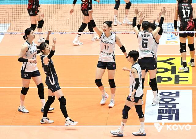 동료들과 기뻐하는 문정원(12번)./KOVO