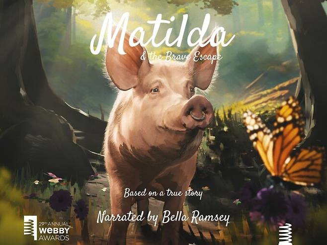 농장을 탈출한 돼지 ‘마틸다’의 실화를 소재로 제작된 애니메이션 ‘마틸다의 용감한 탈출’은 드라마 ‘라스트 오브 어스’로 유명한 영국 배우 벨라 램지의 내레이션으로 더욱 주목 받았다. 서지생크추어리 제공
