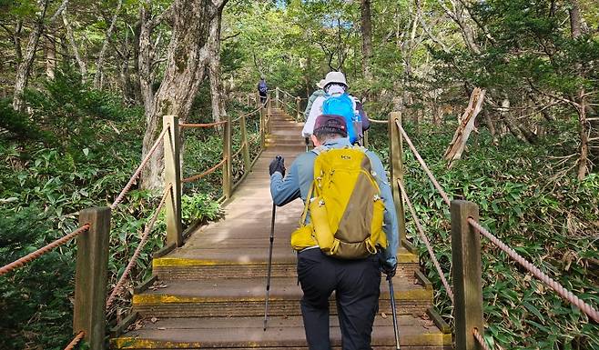 사진은 기사와 관련 없음