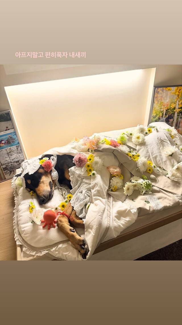 /사진=배정남 SNS