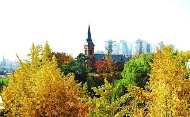 ⓒ가을 속 약현성당