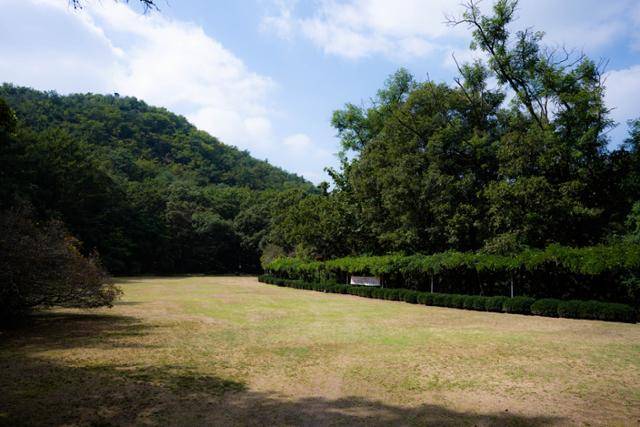 서울대학교 관악(안양)수목원 대잔디원이 시원하게 펼쳐져 있다.