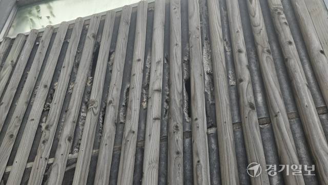 지난 1일 오후 인천 부평구 한 중학교. 방음벽 섬유 판 곳곳이 삭아 패어있다. 박기웅기자