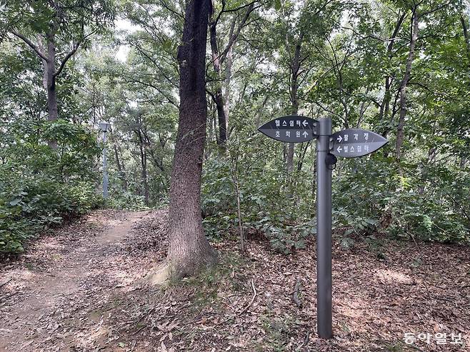 충남 아산시 배방읍 용곡공원 정상에 위치한 독립운동가 이관구 선생의 묘역 바로 위에 위치한 등산로에는 묘역 방향으로 화살 표시가 된 안내판이 있었는데, 엉뚱하게도 ‘헬스쉼터’라고 표시돼 있었다. 아산=이정훈 기자 jh89@donga.com