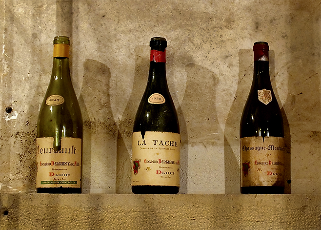 디종에서 생산된 에두아르 들로네 뫼르소 1943, 라 타슈 1929 샤샤뉴 몽라셰. 홈페이지