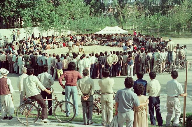 씨름을 구경하는 인파. 대전찰칵 제공