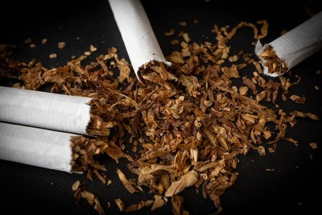 연초 담배. 연합뉴스
