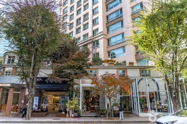 분당 정자동카페거리. 한국관광공사 제공