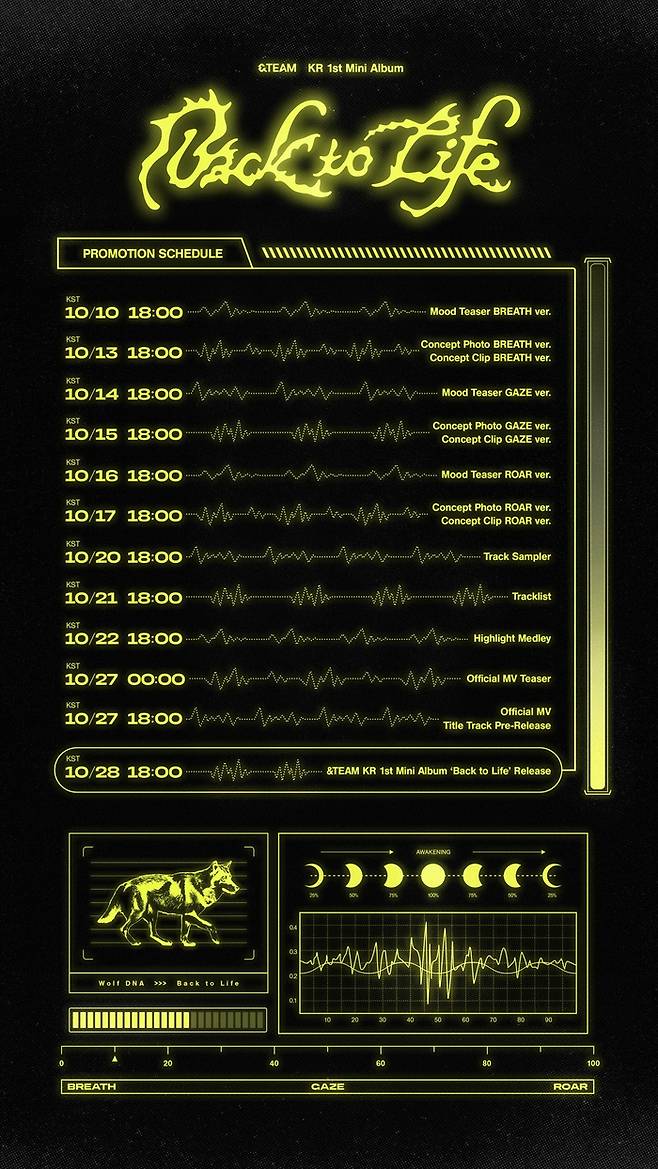 &TEAM(앤팀). 사진 | YX레이블즈