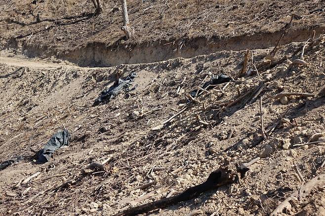 2025년 2월28일 경남 밀양 춘복산의 모습. 이곳에선 2년9개월 전인 2022년 5월 산불이 난 뒤 막대한 돈과 인력이 투입돼 재개발식 벌채와 조림이 이뤄졌다. 조림한 묘목은 대부분 말라 죽어 있었다. 나무들은 피해가 어느 정도인지 상관없이 모조리 베어졌다. 지표면의 낙엽층이나 벌목 뒤 남은 잔가지와 잔해까지 수거돼 모두 ‘미이용 바이오매스’로 화력발전소에 공급된다. 김양진 기자