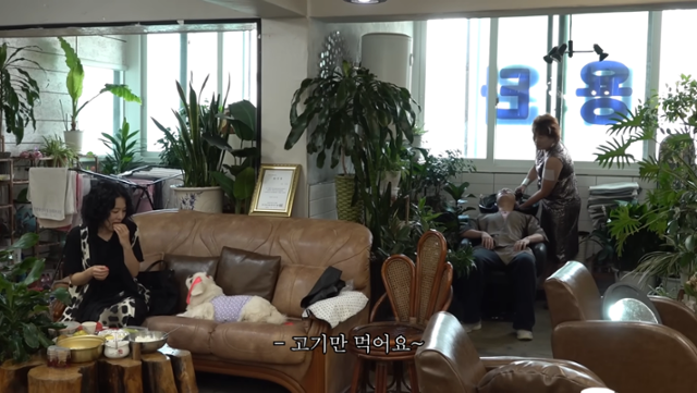 핫이슈지 유튜브 캡처