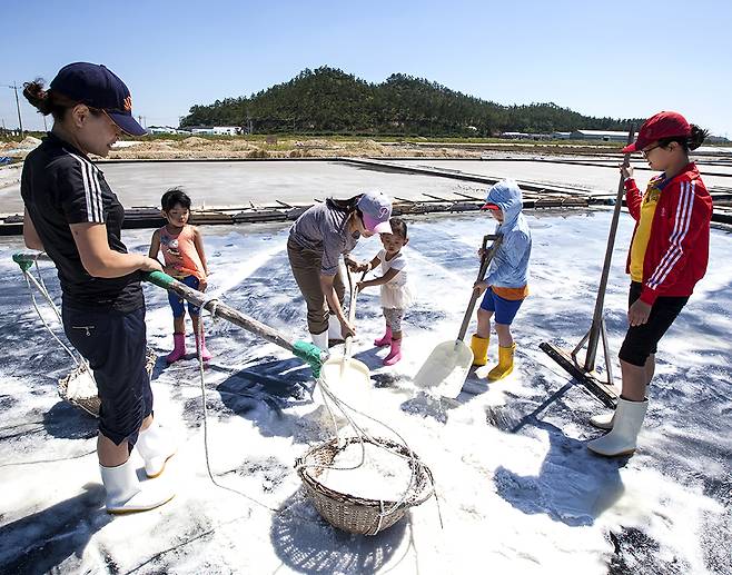 어린이들이 전남지역 염전에서 명품 천일염 생산 과정을 체험하고 있다.<전남도 제공>