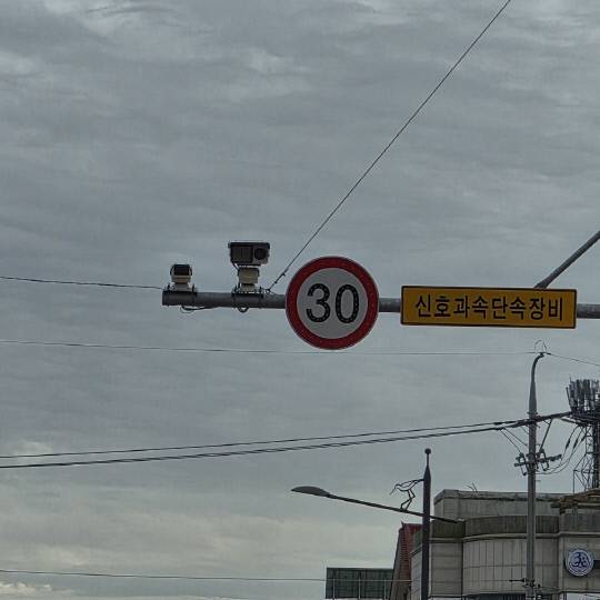 서산중-서림초등학교 구간 신호등. 독자 제공