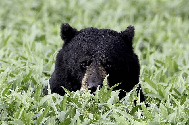 사진=게티이미지뱅크.