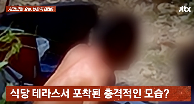 지난달 28일 충북 옥천의 한 하천에서 한 남성이 벌거벗은 상태로 낚시를 하고 있다./사진=JTBC '사건반장' 캡처