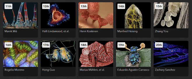 11~20위 수상작. 니콘 스몰 월드 제공
