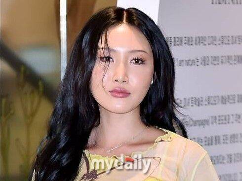 화사 / 마이데일리