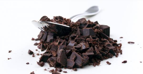 카카오닙스는 지속가능한 식물성 원료이자 윤리적 소비의 상징이다. pixabay