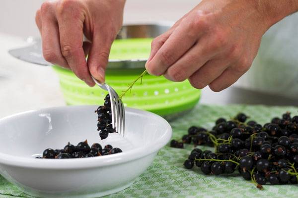 블랙 커런트 추출물이 러닝 성능을 향상시킨다는 연구 결과가 나왔다./사진=클립아트코리아